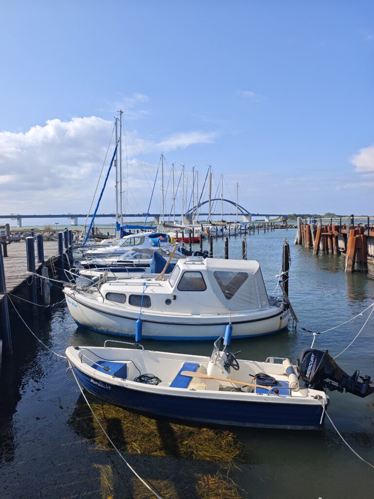 Blick von Großenbroderfähre auf die Fehmarnsundbrücke